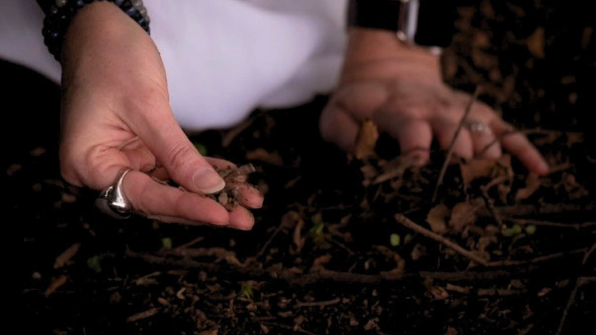 Kristine's hands examining the earth